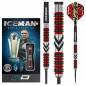 Preview: Steel Darts (3 pcs) Gerwyn "Iceman" Firebird