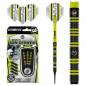 Preview: 20 g Soft Darts (3 pcs) Michael van Gerwen 85% Pro-Serie