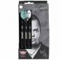 Preview: 24 g Steel Dartset (3 Stk) Max Hopp MAX95%