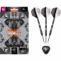 Preview: Steel Dartset (3 Stk) Raymond van Barneveld RVB ECHO 95% SP