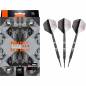 Preview: Soft Dartset (3 Stk.) Raymond van Barneveld RVB ECHO 95%