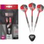 Preview: Steel Tip Darts (3 pcs.)SYNC 80% 02 SP 2022