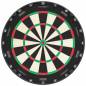 Preview: Dartboard Aspar Professional