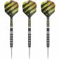 Preview: Steel Dartset (3 Stk.) Dimitri van den Bergh 80%