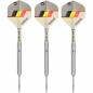 Preview: Steel Tip Darts (3 pcs.) Dimitri van den Bergh G2 2023