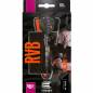 Preview: Steel Darts  (3 pcs)  Raymond Van Barneveld 80% Black SP 2023