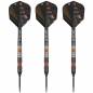 Preview: Steel Darts  (3 pcs)  Raymond Van Barneveld 80% Black SP 2023