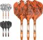 Preview: INK Flight & Shaft Kit Raimond van Barneveld