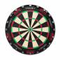 Preview: Dartboard TOR Target Professional