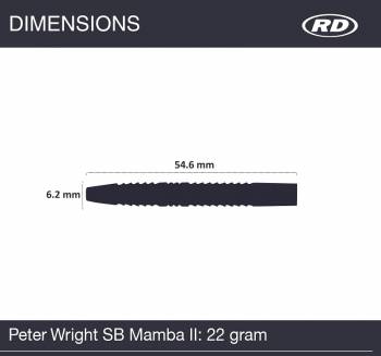 Steel Dartset (3 Stk) Peter Wright Mamba 2