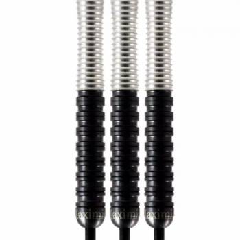 24 g Steel Dartset (3 Stk) Max Hopp MAX95%