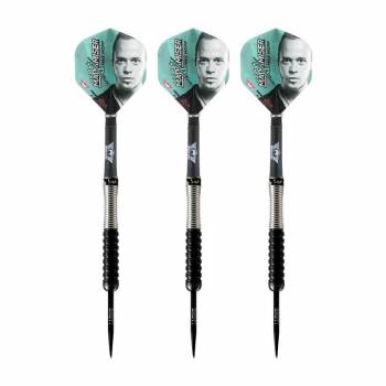 24 g Steel Dartset (3 Stk) Max Hopp MAX95%