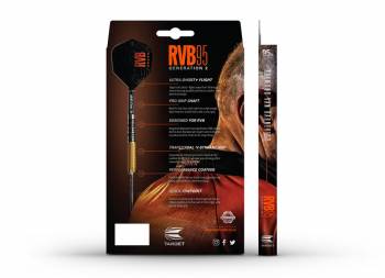 Steel Darts (3 pcs) Raymond van Barneveld RVB 95 Generation 2