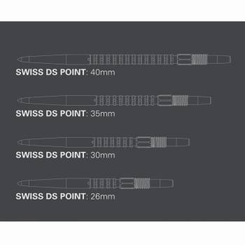 Wechselspitze Swiss Storm Surge Point