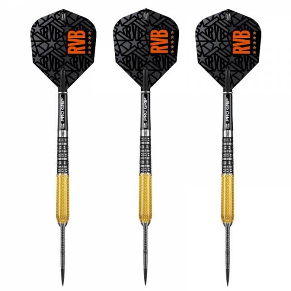 Steel Darts (3 pcs) Raymond van Barneveld RVB 95 Generation 2