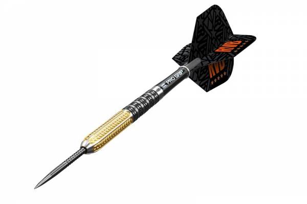 Steel Darts (3 pcs) Raymond van Barneveld RVB 95 Generation 2