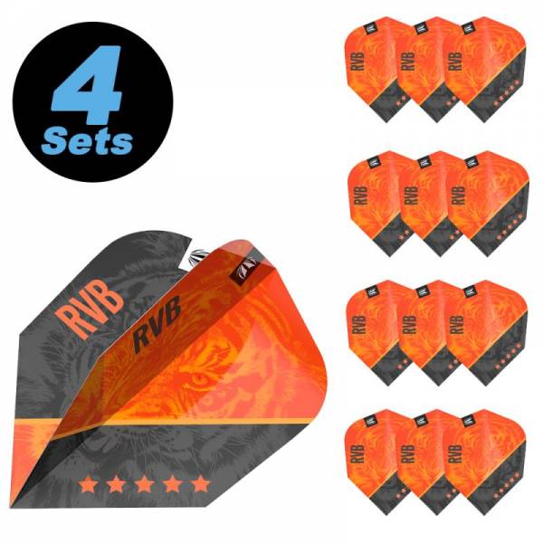 4 Flight (12 pcs) Raymond Van Barneveld Gen 4