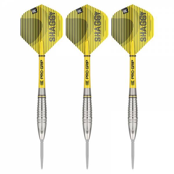 Steel Tip Darts (3 pcs.) Scott Williams 90% SP