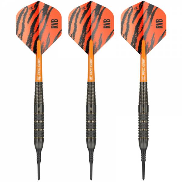 Soft Dartset (3 Stk) Raymond van Barneveld Brass 18g 2023