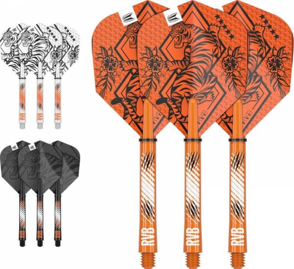 INK Flight & Shaft Kit Raimond van Barneveld