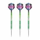 Steel Darts (3 pcs) Peter Wright Mamba 2