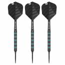 Steel Tip Darts (3 pcs.) Rob Cross Black Edition 90% SP